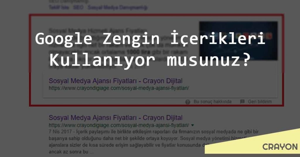 zengin cevaplar